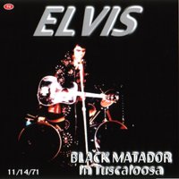 Elvis CD Cover