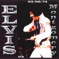 Elvis CD Cover