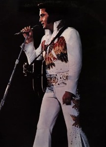 Elvis Presley Eagle Red Air Jordan 13 - Trendingnowe