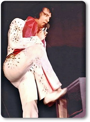 Elvis Presley In Concert